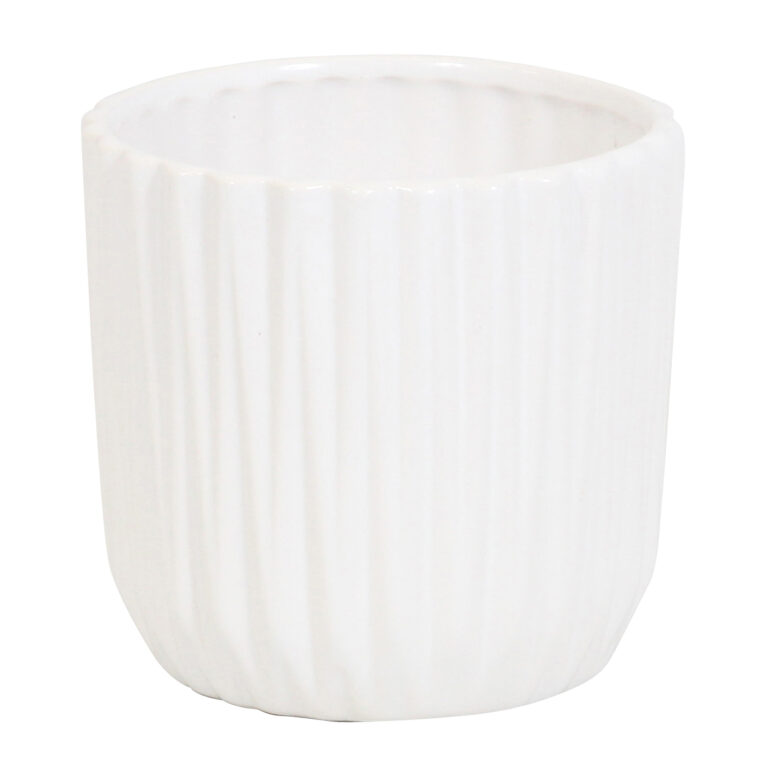 Cosy Candy met White Ceramic 2 10 Orchidee-kopen.nl
