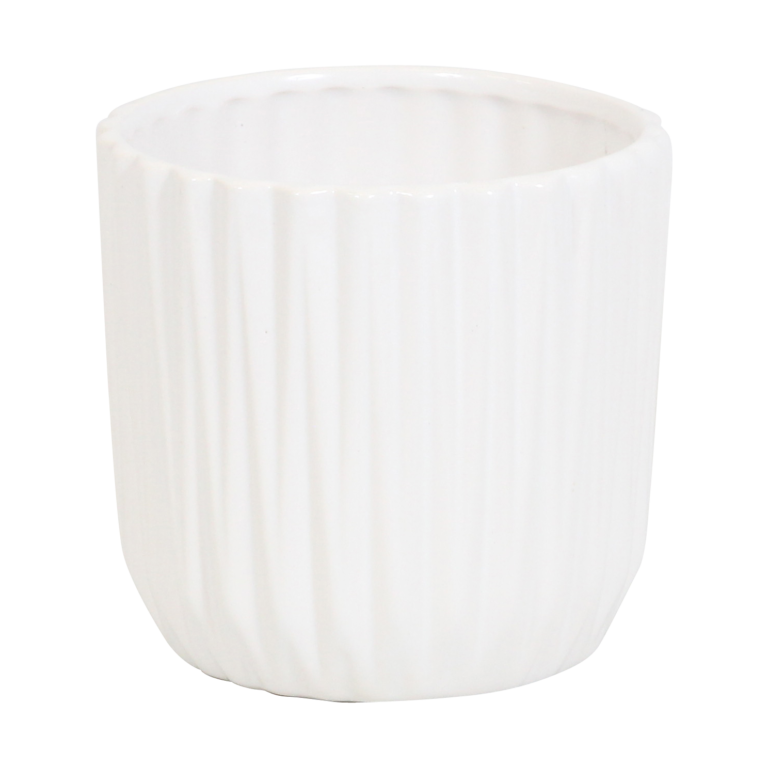 Cosy Candy met White Ceramic 2 11 Orchidee-kopen.nl