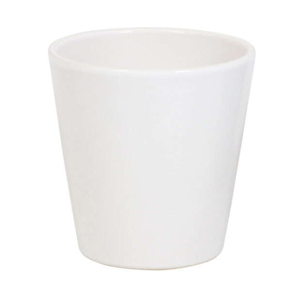 Pico Sweet heart met White Ceramic 1 10 Orchidee-kopen.nl