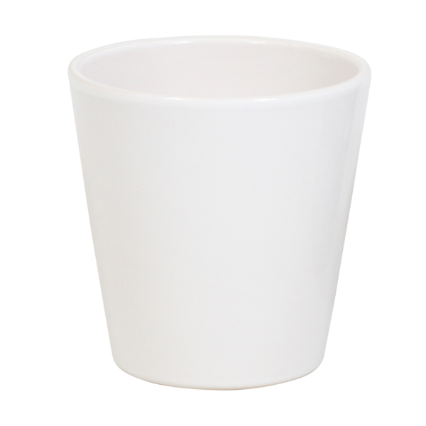 Pixie met White Ceramic 1 11 Orchidee-kopen.nl