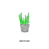 Bij- praat kaartje "Aloe ! It's me !" 1 Orchidee-kopen.nl