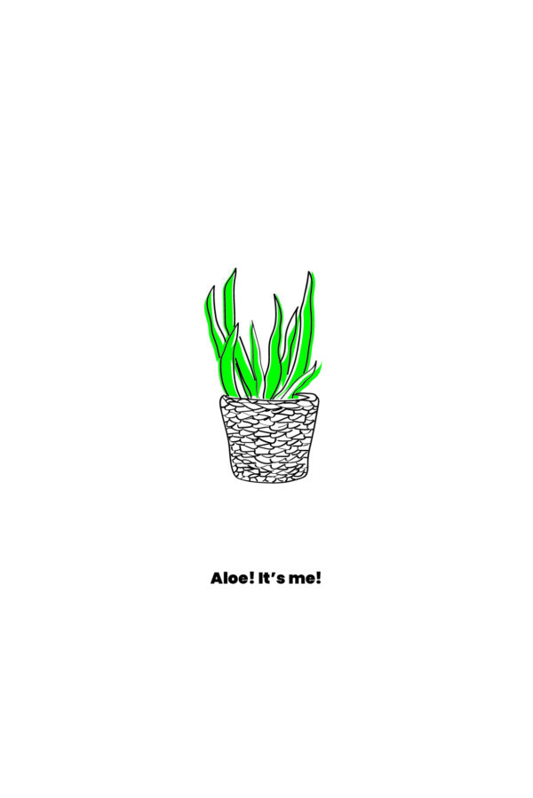 Bij- praat kaartje "Aloe ! It's me !" 5 Orchidee-kopen.nl
