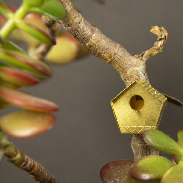 Tiny Birdhouse - piepklein messing vogelhuisje voor je plant 7 Orchidee-kopen.nl