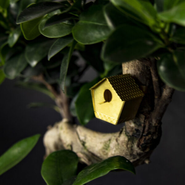 Tiny Birdhouse - piepklein messing vogelhuisje voor je plant 9 Orchidee-kopen.nl