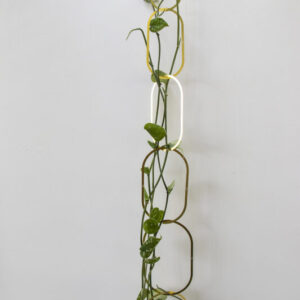 Gouden Messing Ketting – Klimplantensteun