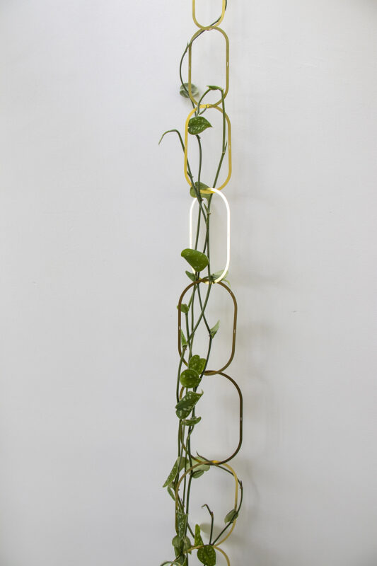 Gouden Messing Ketting - Klimplantensteun 1 Orchidee-kopen.nl