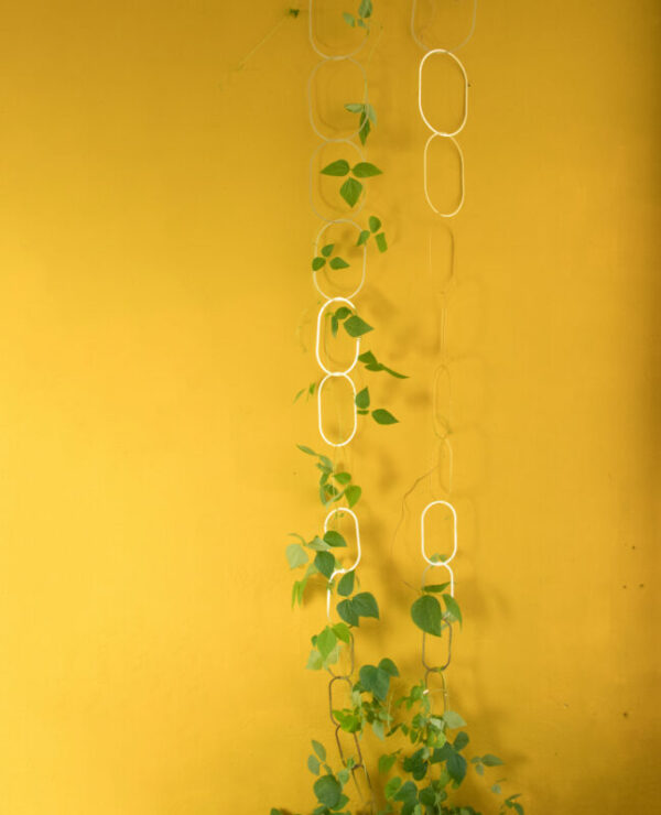 Gouden Messing Ketting - Klimplantensteun 9 Orchidee-kopen.nl