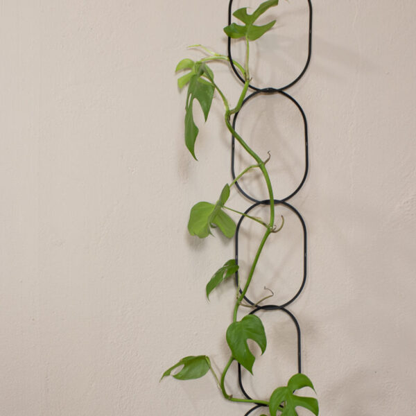 Zwarte Messing Ketting - Klimplantensteun 8 Orchidee-kopen.nl