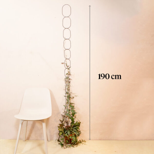 Zwarte Messing Ketting - Klimplantensteun 9 Orchidee-kopen.nl
