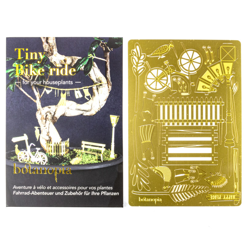 Tiny Bike Adventure - miniatuur fietsavontuur voor je plant 1 Orchidee-kopen.nl