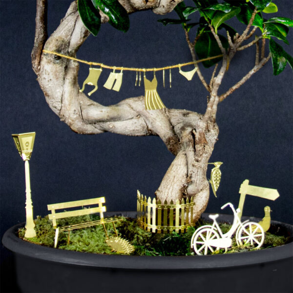 Tiny Bike Adventure - miniatuur fietsavontuur voor je plant 10 Orchidee-kopen.nl