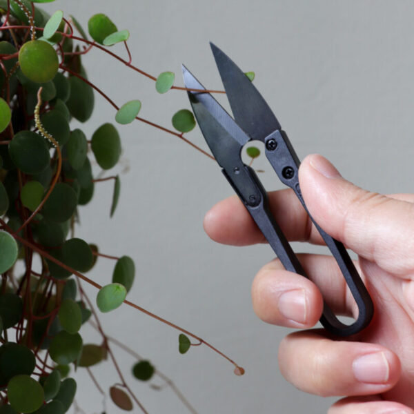 De goede snoeischaar - bonsai schaartje voor planten & meer 8 Orchidee-kopen.nl