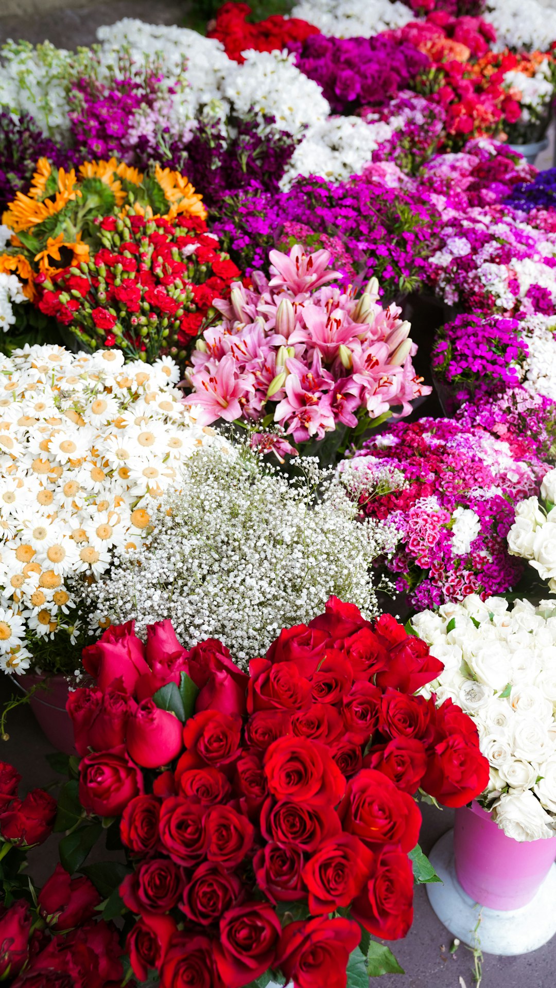 Lees meer over het artikel Bloemen bezorgen of een bloeiende plant cadeau doen?