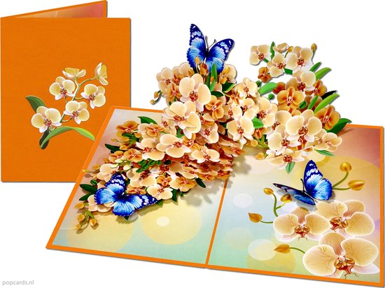 Pop-upkaart roze orchidee 1 Orchidee-kopen.nl Pop-upkaart roze orchidee