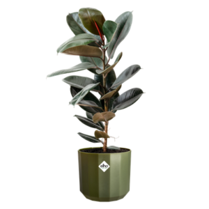 Elho Facet pot 23 cm bosgroen