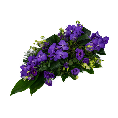 Rouwarrangement Druppel Orchidee Vanda Purple 1 Orchidee-kopen.nl Rouwarrangement Druppel Orchidee Vanda Purple